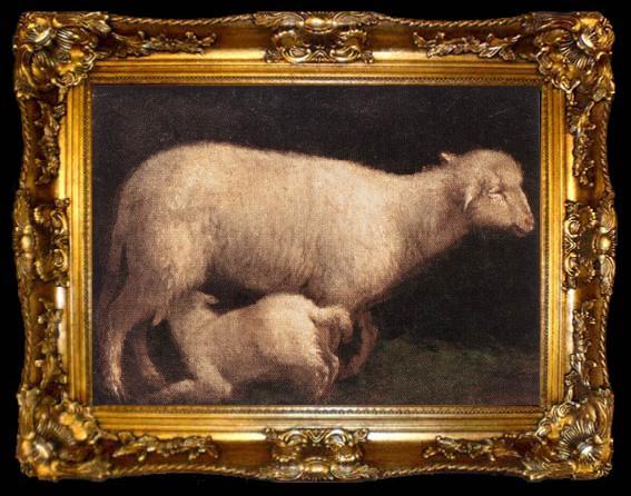 framed  BASSANO, Jacopo Sheep and Lamb dghj, ta009-2